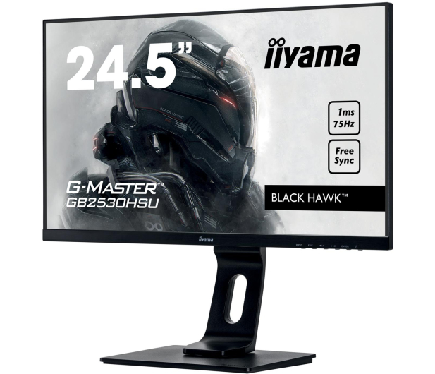 iiyama G-Master GB2530HSU Black Hawk - 430746 - zdjęcie 3